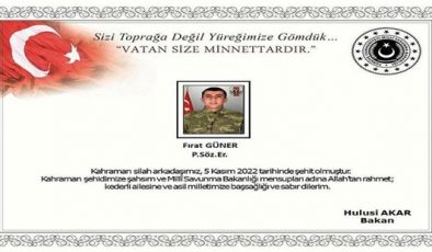 VATAN SANA MİNNETTARDIR