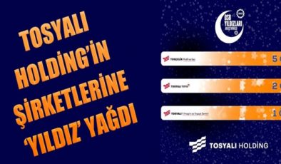 TOSYALI HOLDİNG’İN ŞİRKETLERİNE ‘YILDIZ’ YAĞDI