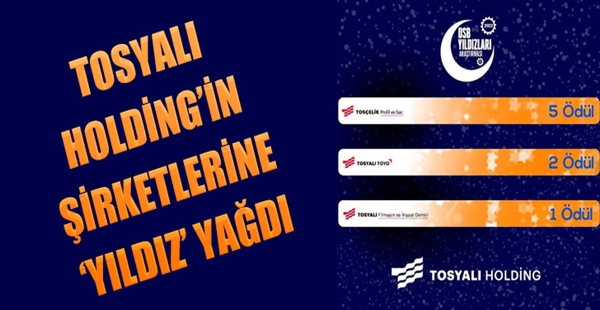 TOSYALI HOLDİNG’İN ŞİRKETLERİNE ‘YILDIZ’ YAĞDI