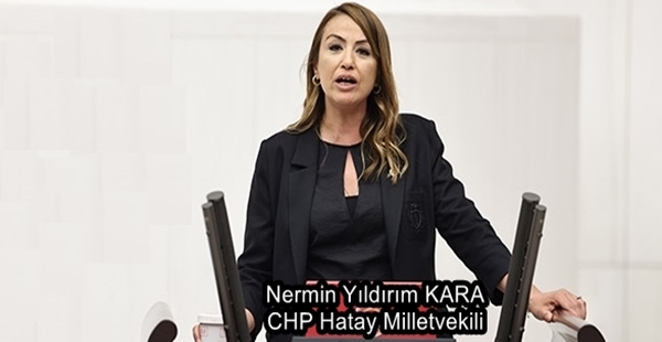 KARA: MALİ MÜŞAVİRLER KAMUSAL GÖREV İFA EDİYOR