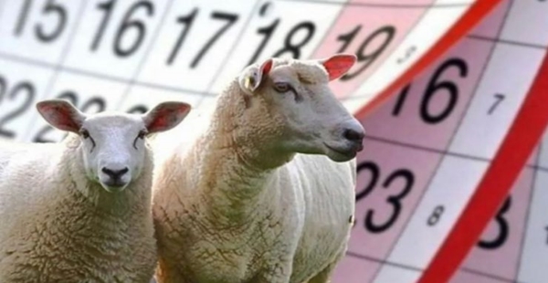 KURBAN BAYRAMI TATİLİ BELLİ OLDU