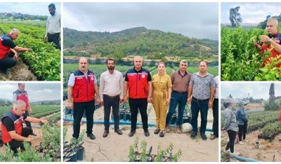 İL TARIM MÜDÜRÜ TÜRKMEN, FİDAN ÜRETİM SAHALARINI İNCELEDİ  