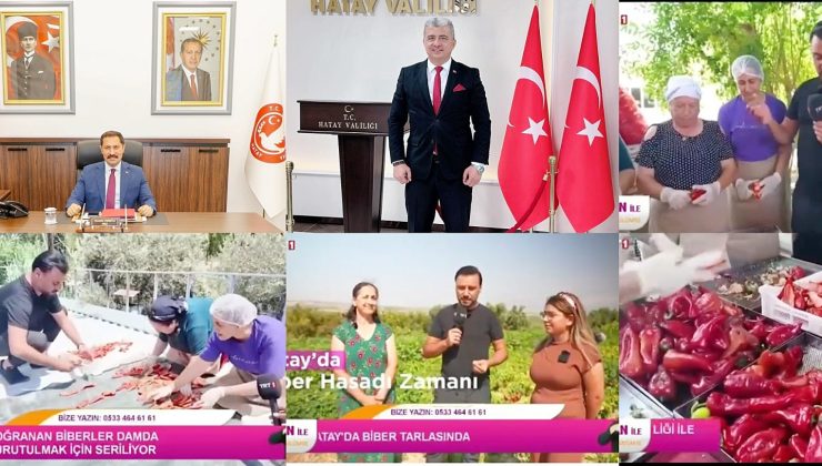 HATAY GLOBAL ARENADA