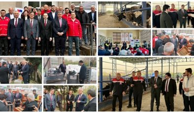 HATAY’DA HAYVANCILIK VE ARICILIĞA ÜST DÜZEY ZİYARET VE DESTEK