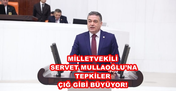 MİLLETVEKİLİ SERVET MULLAOĞLU’NA TEPKİLER ÇIĞ GİBİ BÜYÜYOR!
