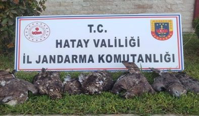 KORUMA ALTINDAKİ ARI ŞAHİNLERİNİ VURAN ŞÜPHELİYE 1,3 MİLYON CEZA