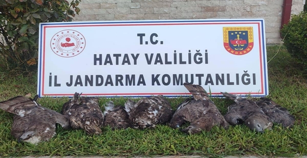 KORUMA ALTINDAKİ ARI ŞAHİNLERİNİ VURAN ŞÜPHELİYE 1,3 MİLYON CEZA